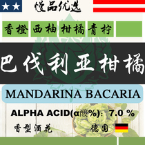 YL805 (BAVARIA of citrus MANDARINA in BAVARIA Germany)