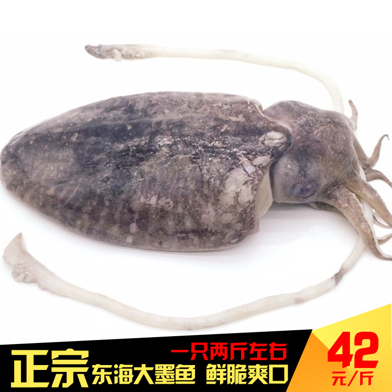 海鲜 超大墨鱼大墨鱼仔 鱿鱼乌贼乌母鱼 新鲜冷冻墨鱼冰冻水产_7折