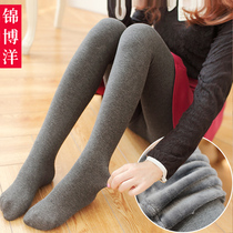 Pantyhose Autumn winter plus suede thickened with underpants Sox warm pants lady winter display slim outside wearing high waist grey socks pants