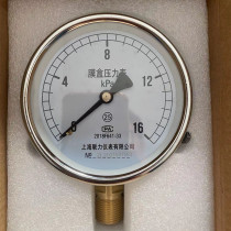 Membrane case pressure gauge YE100 0-16KPA natural gas Skygas combustion engine pipe pressure