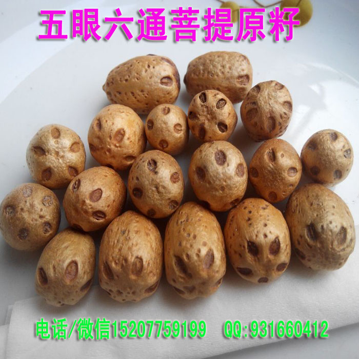 五眼六通菩提子原籽按斤 散珠手串 原料 五眼果 四眼果菩提子