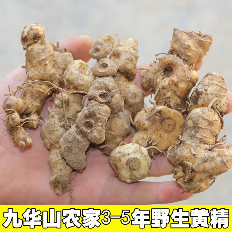 九华山特产野生多花黄精3至5年生新鲜小黄精500克正品特价_7折现价15