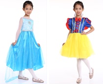 Frozen Aisha elsa elsa Queen childrens dress girl princess dress snow white dress
