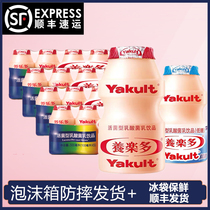 Homefung Shipping Foster Music Multi Active Lactic Acid Bacteria Drinks Raw Taste Low Sugar 100ml Whole Box New date