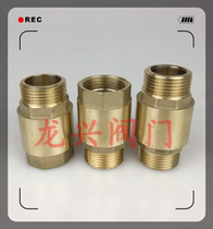 Check valve All copper thickened inner and outer wires 4 minutes 6 minutes 1 inch water pipe water meter spring check valve vertical check valve