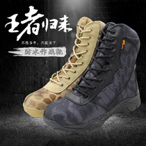 Python field Magnum high-help tactical shoes male military fans outdoor hiking shoes desert boots waterproof