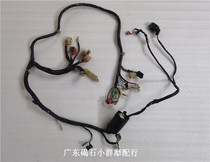 Honda DIO61 phase 62 TODAY free turtle ignition line