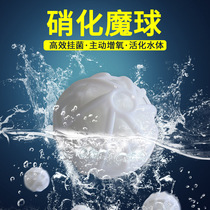 Nitrifying magic ball bacteria fish tank aquarium nitrifying wool cotton ball swirling filter material bacterial carrier cotton biochemical ball