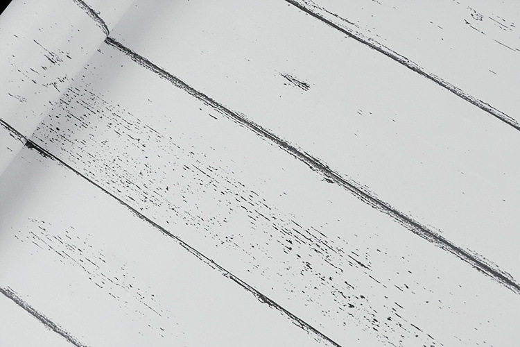 y2-北欧白枫-dsc_0138_副本