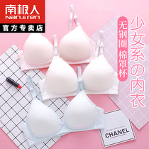 Antarctic People Underwear Womens Pure Cotton Summer Thin free steel ring small breasts for bra students high school girls bra