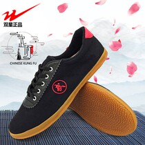 Twin star Tai Chi shoes canvas sneakers men and womens training shoes Taiji female martial arts morning training shoes soft sole