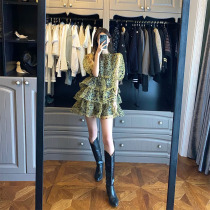 Bubble sleeves cake dresses dress Womens summer 2021 new small subfaze style gentle wind crumbles and dresses dresses