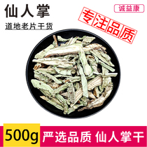 Cactus old slices 500g fresh dry Chinese herbal medicine bulk Mexican rice bonta dried edible cactus dried slices