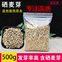 Selenium malt natural dried goods 500g farmers new Chinese herbal medicine pure malt selenium is suitable for Schisandra powder tea