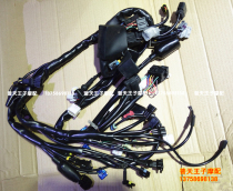 Blue Baolong BJ300GS BN300 cable full car line main line main cable