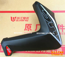 Blue Baolong BJ300GS TNT European version 300 left right Oil tank front guard plate left and right decorative plate