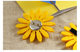 ຄົນອັບເດດ: ພາສາເກົາຫຼີ versatile sunflower sunflower brooch ແມ່ຍິງ corsage pin ສ່ວນບຸກຄົນ buckle pin ອຸປະກອນເສີມເຄື່ອງປະດັບຂະຫນາດນ້ອຍ pendant