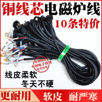 10 soft freeze resistant copper induction cooker power cord for home daily induction cooker power cord