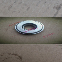 Zongshen original factory NC250250GY-3 Huayang Guizun Beihai Possock Sevice dragon mechanical water seal