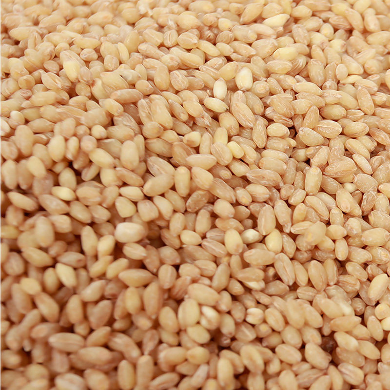 买5送1【禾煜_米仁400g】五谷杂粮米仁麦仁去皮小麦米煮粥粗粮