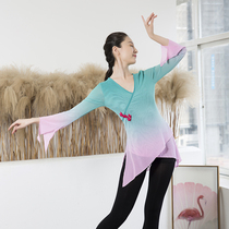 Classical Dance Exercises Performance of the Costume Square Woman Costume Body Rhyme Yoga Elastic Mesh Yarn College Student Body Gradient