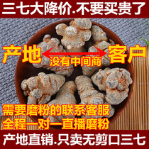 Yunnan Wenshan Chunpanax nosanqi 20 head 30 head 40 head Tianqi 500g can be directly ground fine powder