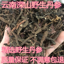 Yunnan Wenshan deep mountains wild Salvia miltiorrhiza authentic pure natural Salvia miltiorrhiza does not smoke sulfur 500 can help play super fine powder