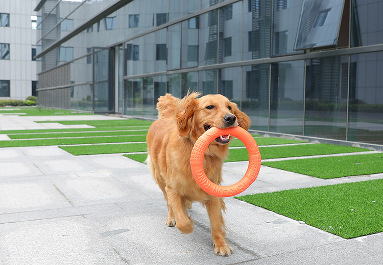 狗狗玩具耐咬逗边牧拉布拉多金毛狗咬胶大型犬大狗磨牙棒宠物用品_8折