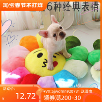 This is the mat that I use the most in my house because I use it in spring summer autumn and winter. It is a very practical kennel mat.