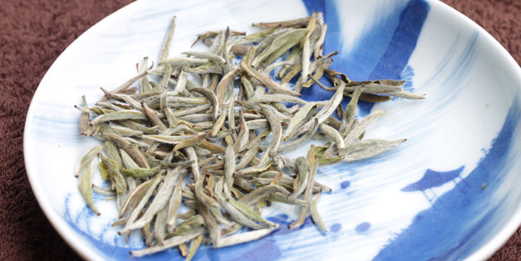 2013头春白毫银针 高山茶区 福鼎白茶 博逸茶业