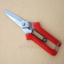 WS-905 thin fruit scissors budding scissors Korean tip scissors Pruning scissors Garden tools Vegetable and fruit scissors Gardening scissors Pruning scissors