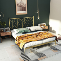 Light luxury wrought-iron beds 1 2 mi apartment single minimalist house bed 1 5 1 8 meters bedroom household net red princess bed