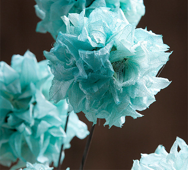 雀锦绣球干花真花干绣球花干花花束仿真手工干花客厅卧室家居摆设_双