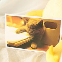 Personality custom greeting card design service diy postcard envelope birthday wishes holiday cute pet card