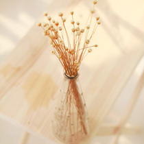 zakka hipster glass bottle Eiffel Tower vase flower cone home decorations desktop ornaments