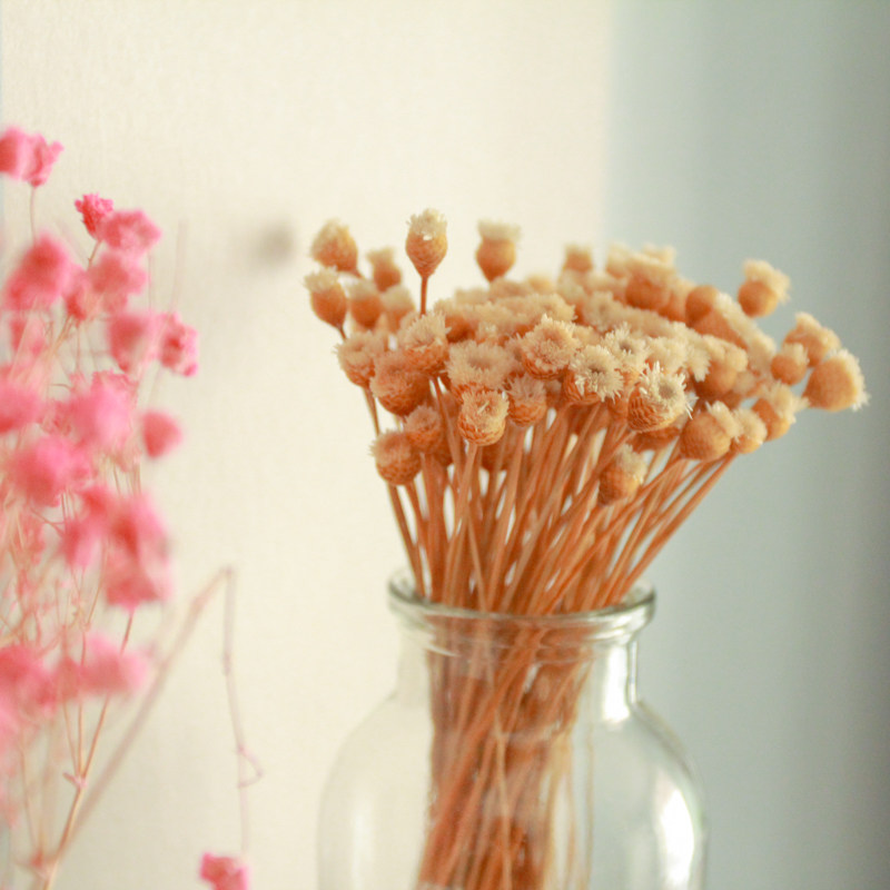 zakka 天然迷你干花巴西进口快乐花 家居装饰干花 彩色干花