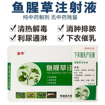 兽用药鱼腥草注射液犬猫兔消肿排脓利尿通淋催乳猪牛羊产前产后康