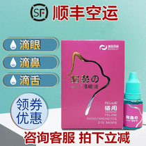 Boladelli Yiyi Net Cat Nose eye drops Kittens Herpes virus Viral Infections Conjunctivitis Cats