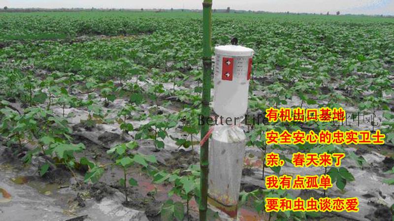 斜纹夜蛾诱捕器 斜纹夜蛾诱芯 昆虫信息素 昆虫性诱剂