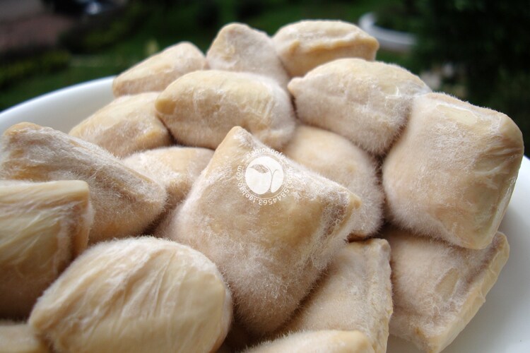 舌尖上的美味云南臭豆腐建水豆腐烧烤石屏豆腐纯手工制做霉豆腐