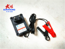 Original Dayang transport motorcycle accessories two-wheel battery intelligent charger Nanjing Jiefeng automatic section electric reverse connection