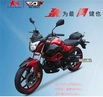 Original Danyang motorcycle parts DY150-38 Yong special stainless steel exhaust pipe sound muffler chimney