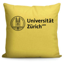  University of Zurich Switzerland souvenirs surrounding international students gifts sofa decoration pillow Car waist pillow cushion