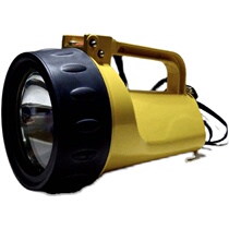 330611 anti-explosion safety lamp DF-6 fire protection DF-6