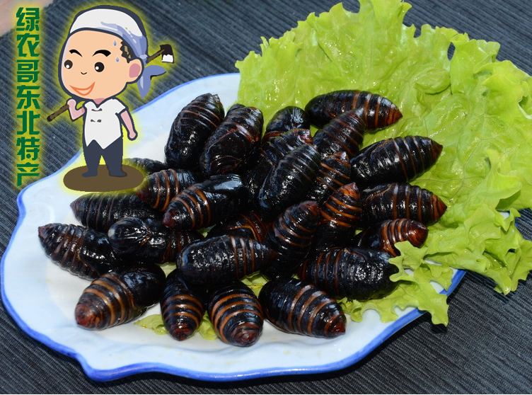 东北特产野生柞蚕蛹 新鲜活蚕蛹2018a级大茧蛹500g个大2斤包邮