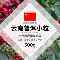Yunnan coffee raw beans small coffee new season selection Arabica washed raw beans Puer specialty 500g