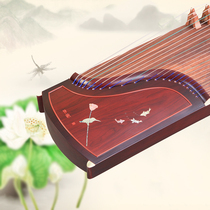 Lotus rhyme Tong rhyme musical instrument adults and children beginners practice test grade playing guzheng rosewood snail craft