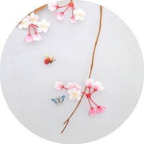 Su embroidery DIY kit Beginner material package No foundation can be embroidered with traces of map reference manual decorative painting plum class