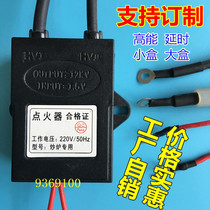 Hotel Commercial Stove AC220v Pulse Ignitor Fried Furnace Ignitor Electronic Ignition High Pressure Pack Accessories