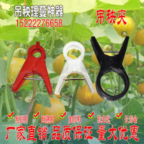 Hanging seedling clip greenhouse cucumber tomato tomato zucchini clip tied Vine agricultural tie seedling clip drop seedling clip hanging vine clip